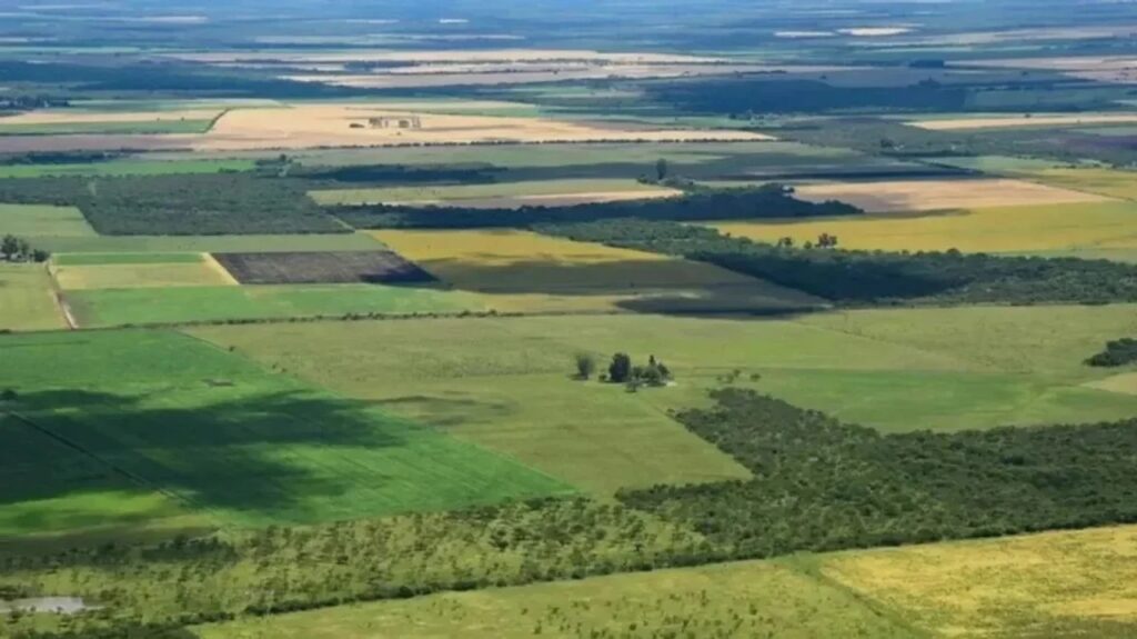 Declaran la inconstitucionalidad de la parte del DNU que derogó la Ley de Tierras