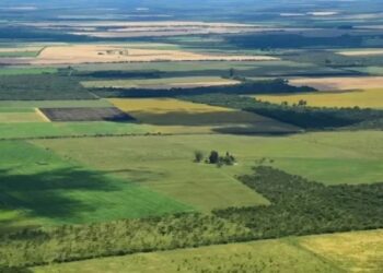 Declaran la inconstitucionalidad de la parte del DNU que derogó la Ley de Tierras