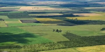 Declaran la inconstitucionalidad de la parte del DNU que derogó la Ley de Tierras