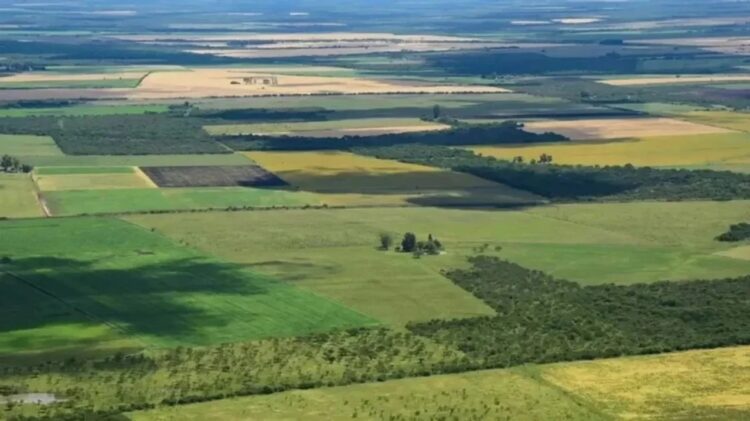 Declaran la inconstitucionalidad de la parte del DNU que derogó la Ley de Tierras