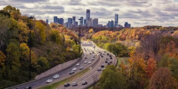 Plantar árboles junto a las carreteras reduce la contaminación