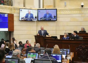 Rechazaron la asamblea constituyente