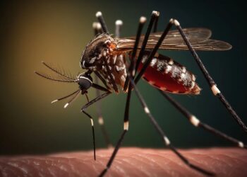 Dengue: especialistas marcan medidas ineficientes y escasas