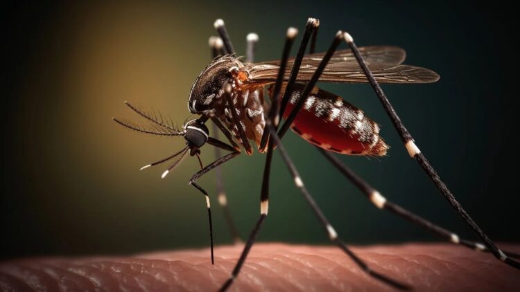 Dengue: especialistas marcan medidas ineficientes y escasas