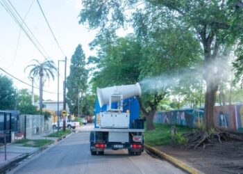 Dengue: desde agosto hay 2.668 casos y dos muertes