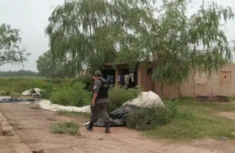 Incautaron, además, 12 plantas de marihuana, dinero, rifles y cartuchos.