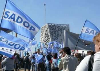 Sadop aceptó “con reservas” la oferta salarial