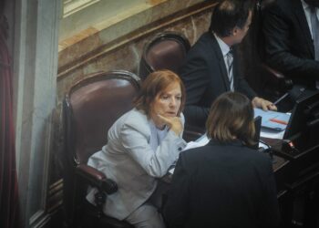 Alejandra Vigo adelantó la abstención en la votación del DNU por considerar “irracional aprobarlo a libro cerrado”