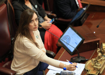 Villarruel tras la caída del DNU en el Senado: «Mi compromiso es inclaudicable»