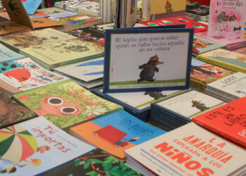 El Gobierno no realizará la compra nacional de libros escolares prevista para este año