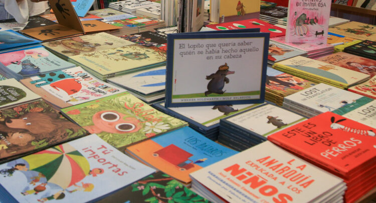 El Gobierno no realizará la compra nacional de libros escolares prevista para este año