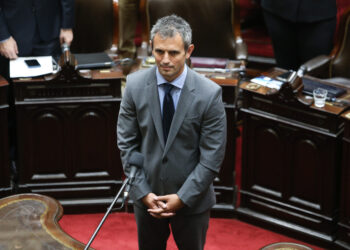 Martín Menem: «Tengo la expectativa que saldrá completa la ley»