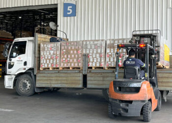 Llegó a la Argentina una donación de 22.000 repelentes desde México