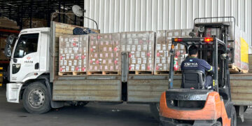 Llegó a la Argentina una donación de 22.000 repelentes desde México