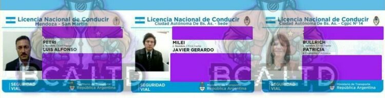 Robaron los datos de licencias de conducir, las ofrecieron por internet y mostraron la de Milei