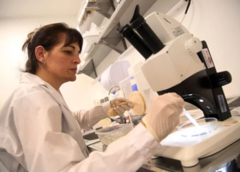 Advierten que «fumigar debería ser la última opción contra el dengue, porque los mosquitos muestran resistencia»