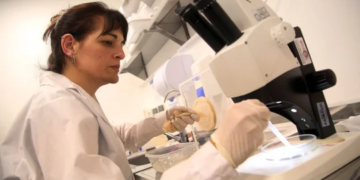 Advierten que «fumigar debería ser la última opción contra el dengue, porque los mosquitos muestran resistencia»
