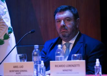 Dos senadores rechazan que Lijo ingrese a la Corte