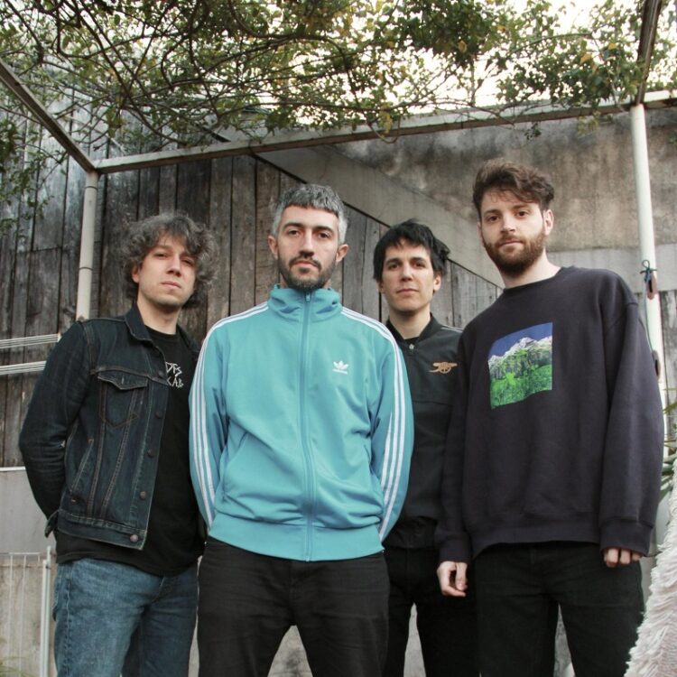 Bestia Bebé nació en Buenos Aires en 2011, influenciado por la música indie.