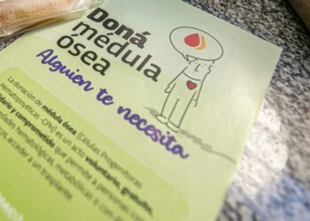 Médula Ósea: la importancia de donar con una simple extracción