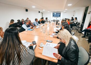 Concejales buscarán preservar las características de Villa Belgrano
