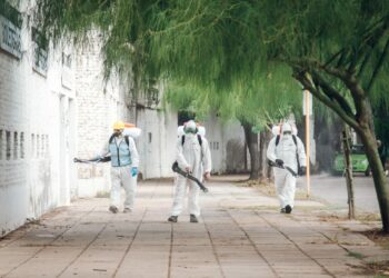 Dengue: reportan 15 muertes en una semana a nivel local