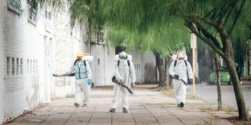 Dengue: reportan 15 muertes en una semana a nivel local