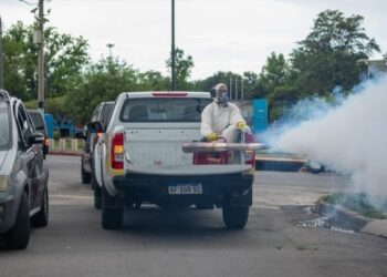 Dengue: el descacharreo es la principal medida preventiva