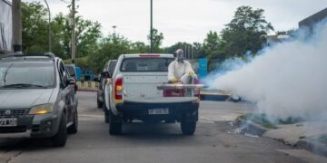 Dengue: el descacharreo es la principal medida preventiva