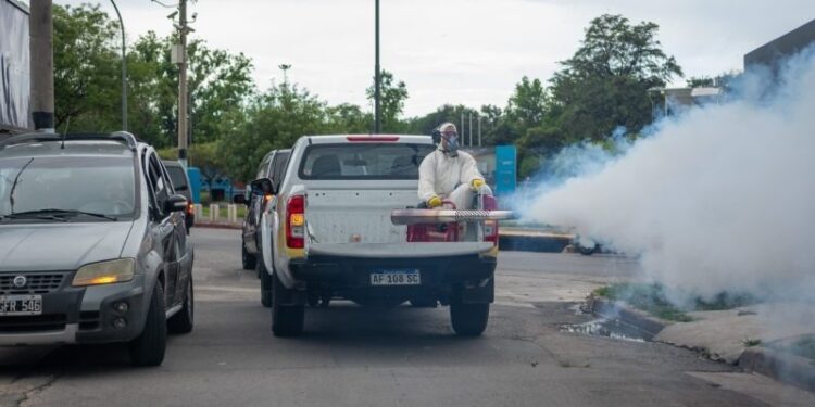 Dengue: el descacharreo es la principal medida preventiva