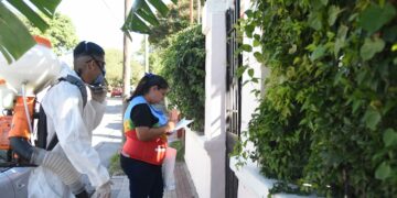 Dengue: realizan operativos de control de foco casa por casa