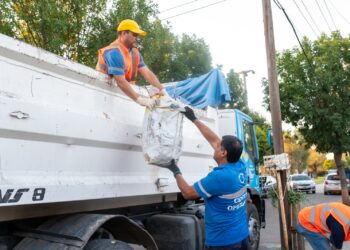 Dengue: en marzo se registraron 13.023 casos en nuestra ciudad