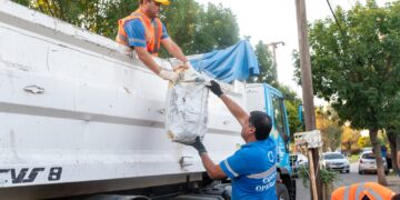 Dengue: en marzo se registraron 13.023 casos en nuestra ciudad