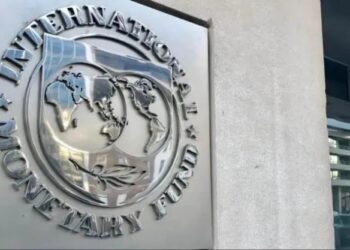 Según estimaciones del FMI, la economía Argentina caerá un 2,8% este año y la inflación será del 150%