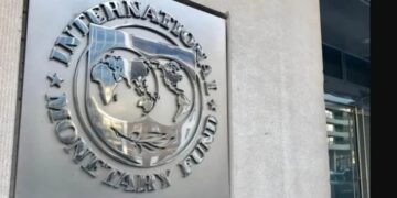 Según estimaciones del FMI, la economía Argentina caerá un 2,8% este año y la inflación será del 150%