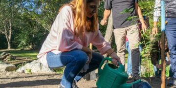 Nuevo plan de forestación local