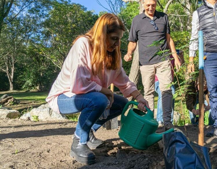 Nuevo plan de forestación local