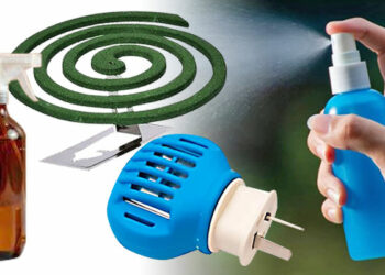 Los principios activos que deben tener los repelentes para ser efectivos contra el dengue