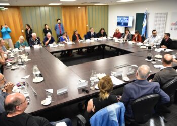 Preocupación legislativa por el desfinanciamiento del Conicet