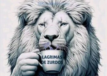 El Gobierno buscó deslegitimar las masivas protestas ciudadanas