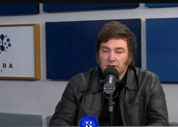 Milei se despegó de Benegas Lynch: «Es una frase absolutamente desafortunada»