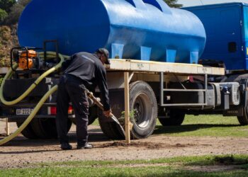 La Municipalidad plantó más de 100 árboles en el Parque Sarmiento y alrededores de la escuela Hipólito Vieytes
