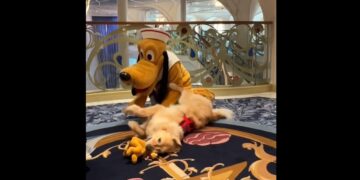 Un perro fanático de Pluto se encontró con su ídolo y se volvió loco de la alegría
