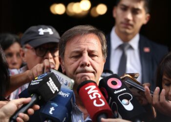 La Libertad Avanza removió a Zago como jefe de bloque en Diputados