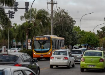 Con nueva flota, desde este viernes Coniferal prestará el servicio de la línea 43
