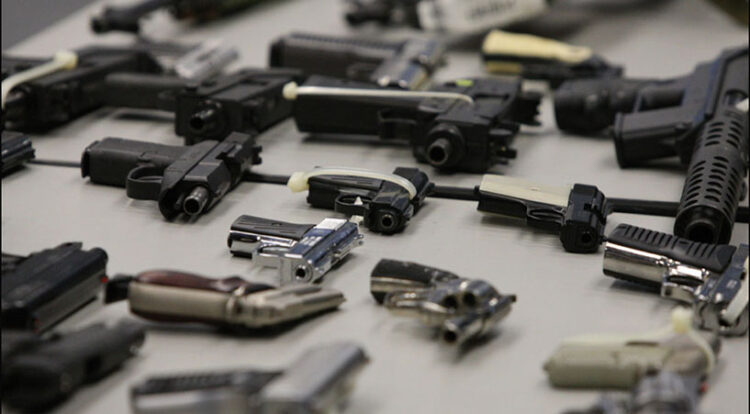 El proyecto de ley del Gobierno que facilitaría la tenencia legal de armas de fuego