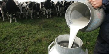 La producción de leche cayó un 14% interanual y es la más baja de los últimos cinco años