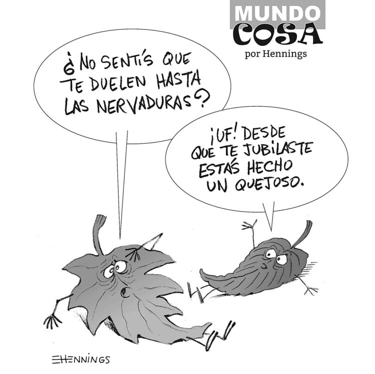 Mundo cosa, en Hoy Día Córdoba