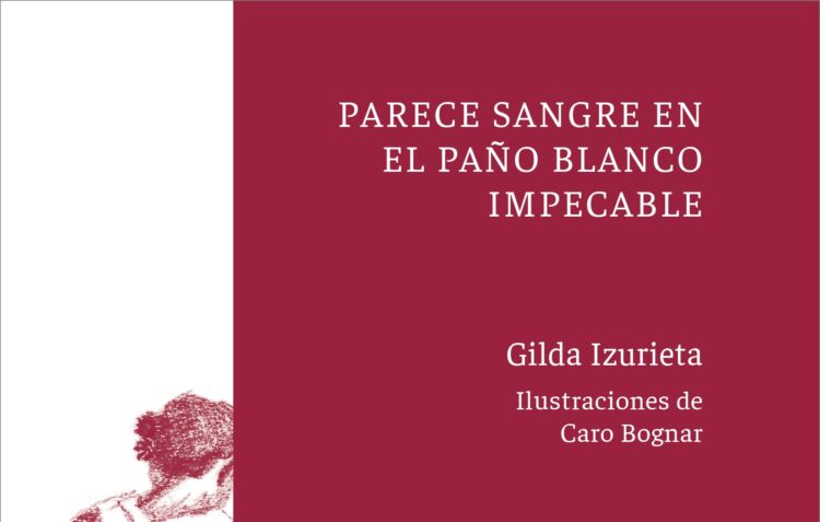 Portada del libro “Parece sangre en el paño blanco impecable” de la editorial local Fruto de Dragón.