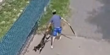 Horror en un country de Córdoba: quién es el falso veterinario que mató a golpes a un perro